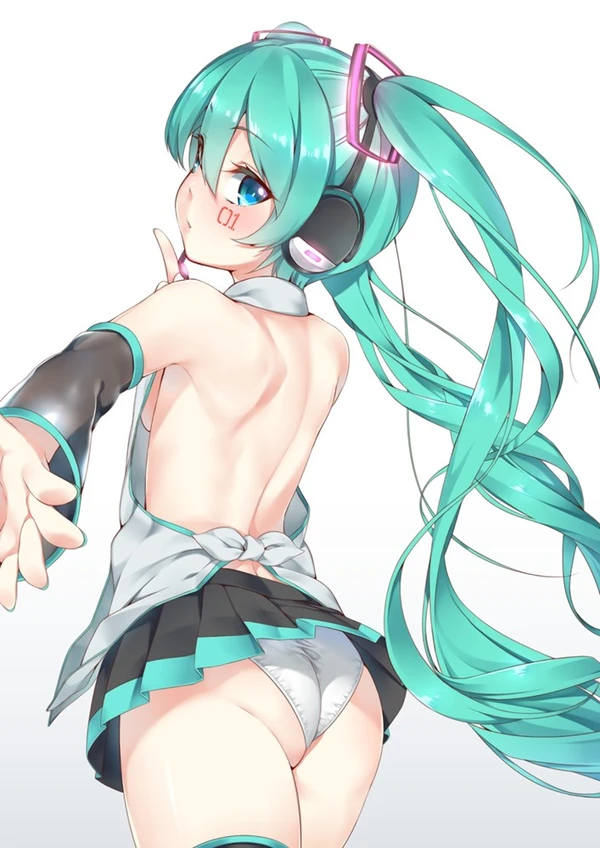 【二次】初音ミクの画像貼ってけ | 二次萌エロ画像ブログ 85 069575