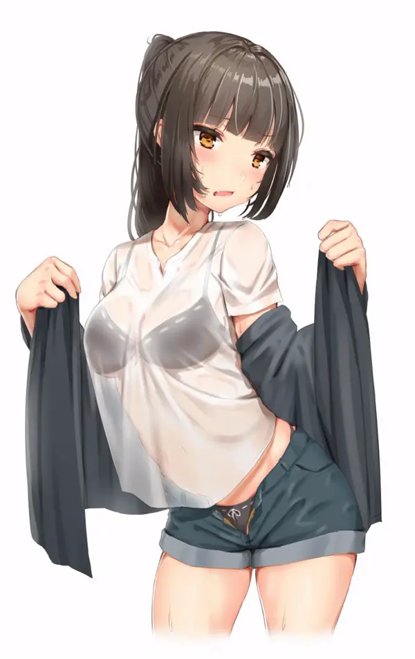 【二次】スケスケな服を着ている女の子のエロ画像 Part４ | えろかん 113 564262