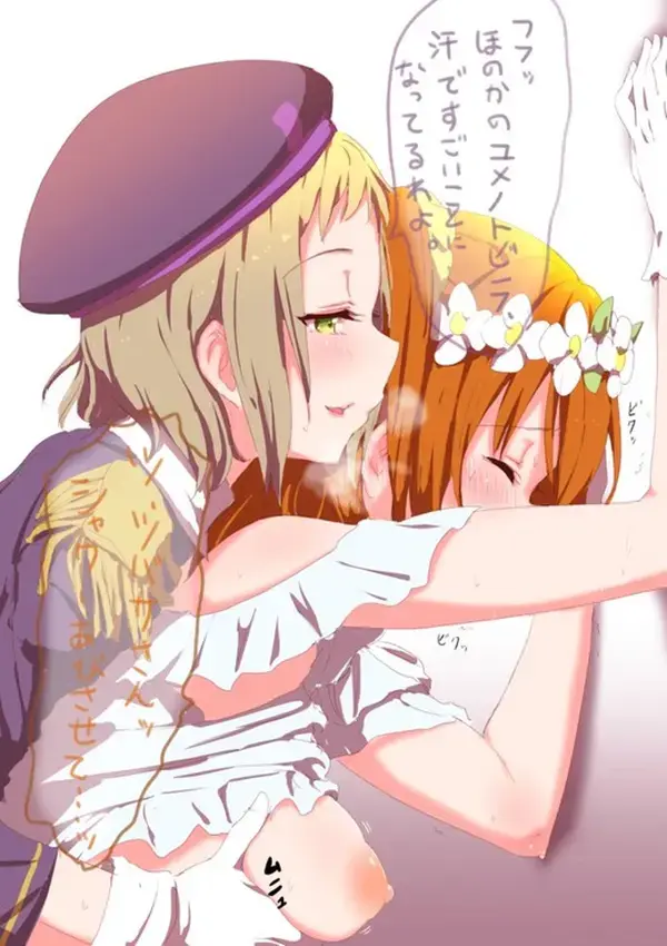 【二次エロ】ラブライブのめちゃくちゃエロい画像ください！！！ : にじもえ！ 55 005009