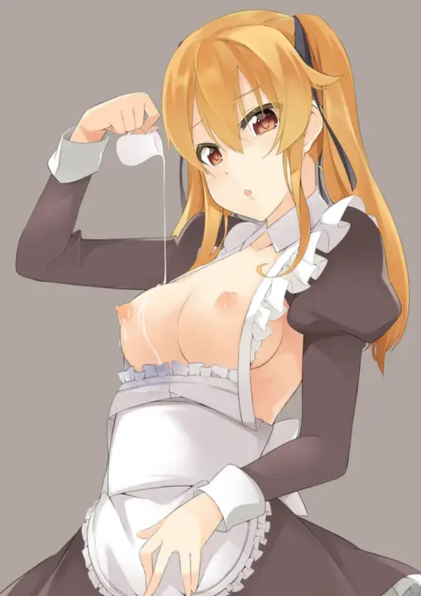 二次エロ　エロい格好でご主人様を誘惑する淫乱メイドたちのエロ画像 : にじもえ！ 77 044781 2