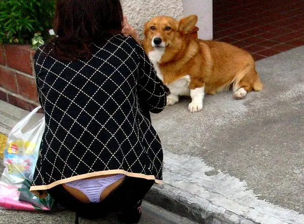 犬に猫…動物と女の絡みがエロ過ぎる画像（※獣姦ではなく） - 性癖エロ画像　センギリ 69 123530 2