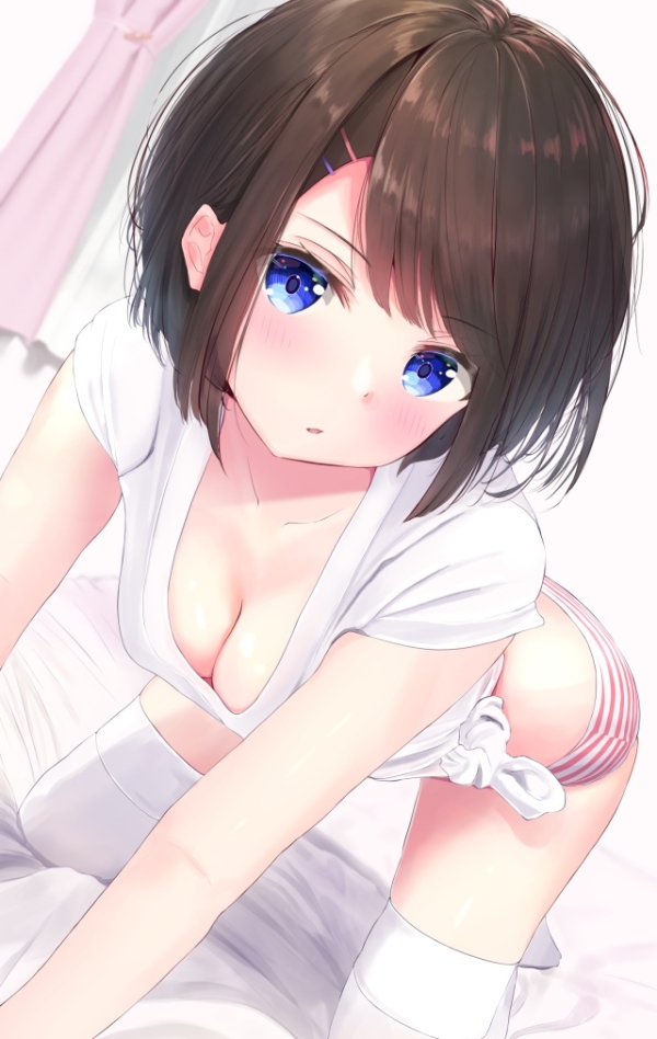 縞パン×二次元女子とかいう人類の到達点【画像まとめ】 | 二次萌エロ画像ブログ 1 img 6817c366097fe