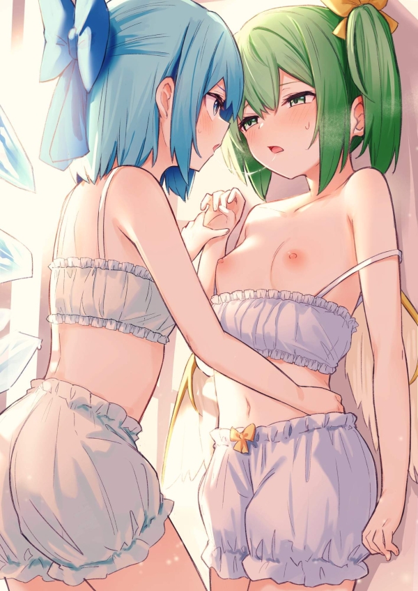【東方Project】チルノ＆大妖精 のえち画像✿ ② 1 img 6a86b032adbb9