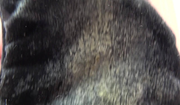 シミパンツ女子のエロ画像 - 性癖エロ画像 センギリ 30 シミパンツ女子のエロ画像 - 性癖エロ画像 センギリ 29 img 690d4ecd04a3f