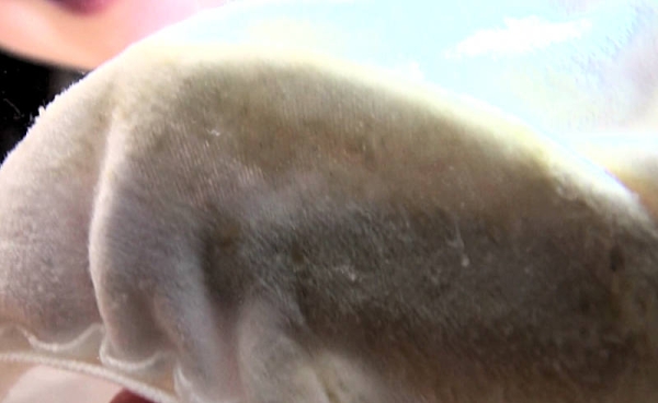 シミパンツ女子のエロ画像 - 性癖エロ画像 センギリ 84 シミパンツ女子のエロ画像 - 性癖エロ画像 センギリ 83 img 690d4ee35819b