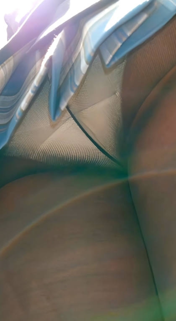 ミニスカ専用パンチラ画像 - 性癖エロ画像 センギリ 34 ミニスカ専用パンチラ画像 - 性癖エロ画像 センギリ 33 img 6931901d50079