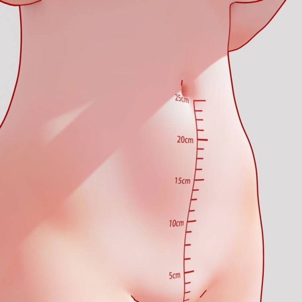 「このあたりまで…」目盛りや定規でアレがドコまで届くか測っちゃう女の子www 86 「このあたりまで…」目盛りや定規でアレがドコまで届くか測っちゃう女の子www 85 img 693cfd024975f