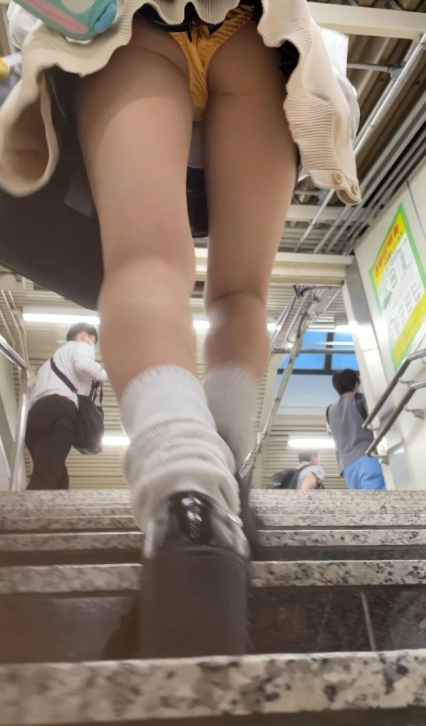 階段撮りパンチラ画像集 24 階段撮りパンチラ画像集 23 img 6999b731c9130