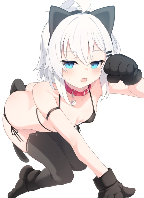 【二次】猫耳、狐耳などが生えたケモミミっ娘たちのエロ画像 Part148 | えろかん 26 【二次】猫耳、狐耳などが生えたケモミミっ娘たちのエロ画像 Part148 | えろかん 25 img 6a1095b98ae99