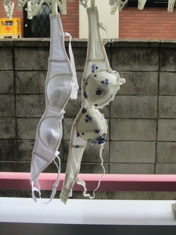 色とりどりのブラジャーを干してる画像!女の子の一人暮らしかなw 172 色とりどりのブラジャーを干してる画像!女の子の一人暮らしかなw 171 img 6a79b9970d421