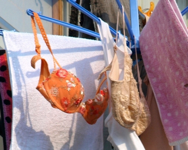色とりどりのブラジャーを干してる画像!女の子の一人暮らしかなw 176 色とりどりのブラジャーを干してる画像!女の子の一人暮らしかなw 175 img 6a79b9974ef6b