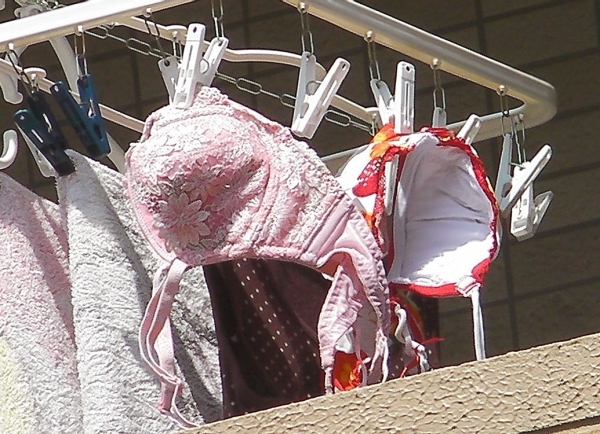 色とりどりのブラジャーを干してる画像!女の子の一人暮らしかなw 178 色とりどりのブラジャーを干してる画像!女の子の一人暮らしかなw 177 img 6a79b9976ed1d