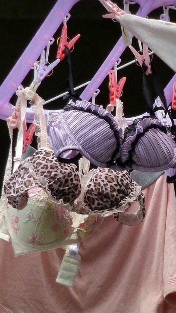 色とりどりのブラジャーを干してる画像!女の子の一人暮らしかなw 184 色とりどりのブラジャーを干してる画像!女の子の一人暮らしかなw 183 img 6a79b997e588a