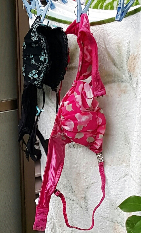 色とりどりのブラジャーを干してる画像!女の子の一人暮らしかなw 194 色とりどりのブラジャーを干してる画像!女の子の一人暮らしかなw 193 img 6a79b998df5b9