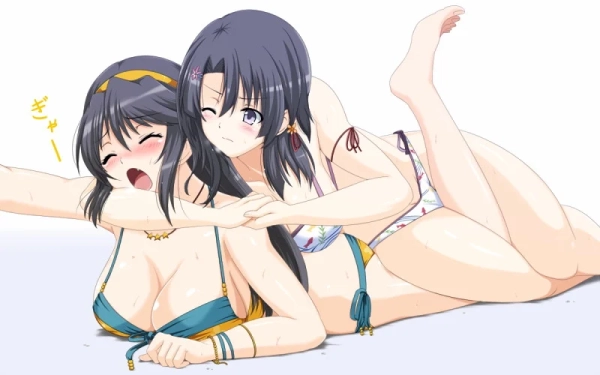 関節技(さぶみっしょん)こそ王者の技よ 50 関節技(さぶみっしょん)こそ王者の技よ 49 img 6aabd2624cc7a
